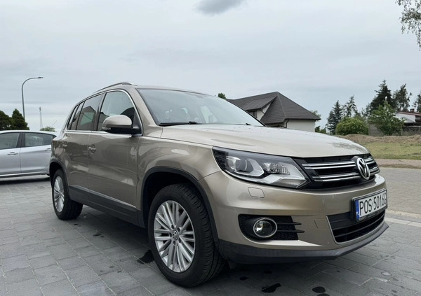 Volkswagen Tiguan cena 57900 przebieg: 172500, rok produkcji 2013 z Odolanów małe 37